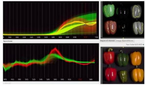 高光譜相機檢測果蔬的方法